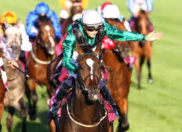 Limato the horse
