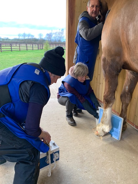 Cath x-raying a horses leg.